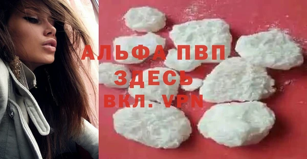шишки Краснотурьинск