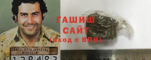 индика Кулебаки