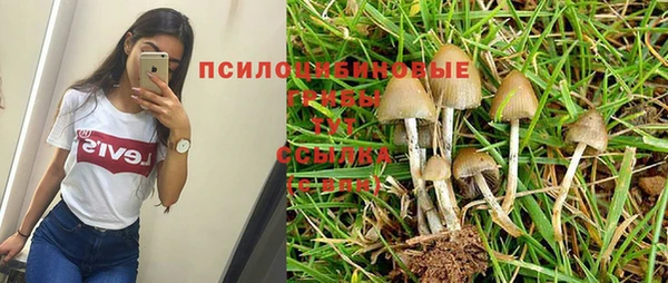 MDMA Красноперекопск