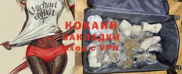 индика Кулебаки