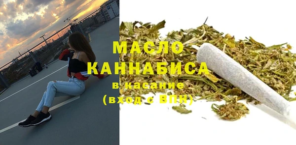 индика Кулебаки