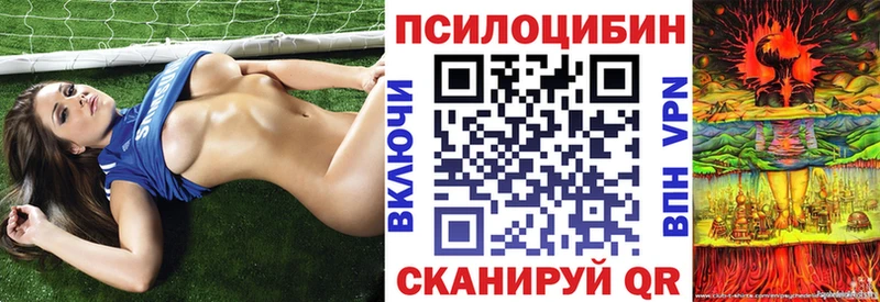 Купить закладки  Новый Оскол  Псилоцибиновые грибы Psilocybe 