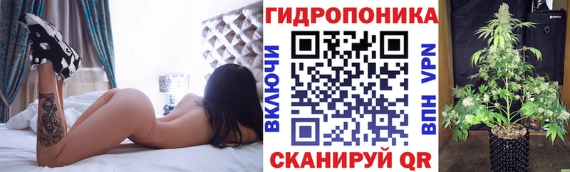 Купить где  Новый Оскол  Каннабис OG Kush 